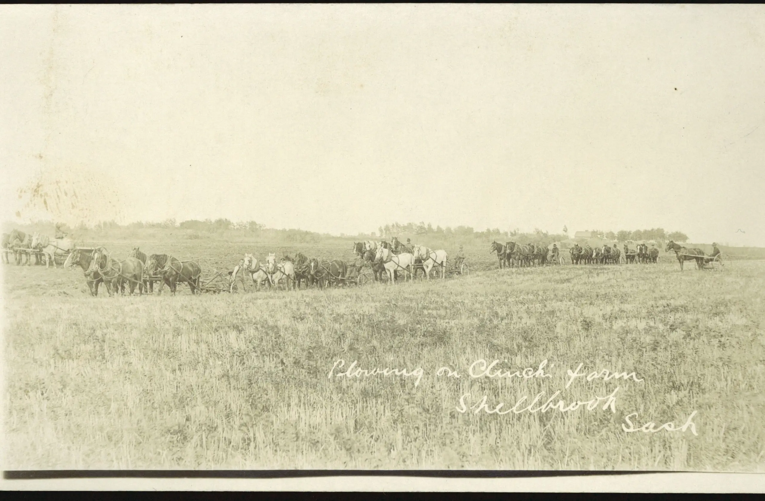 Ploughing with horse teams on a farm near Shellbrook